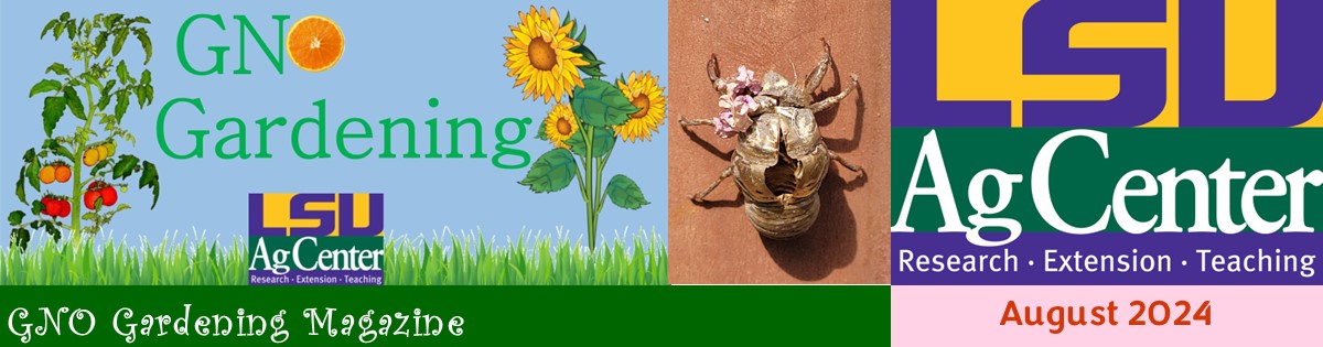 GNO Gardening - August 2024
